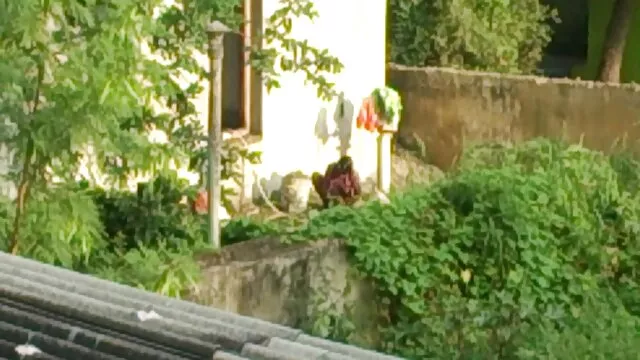 निकोल दा सिल्वा-वेंटवर्थ बीएफ सेक्सी वीडियो एचडी मूवी