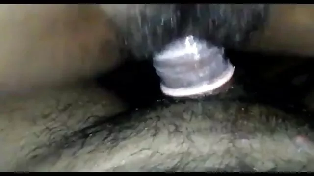शुद्धता Lyyn सेक्सी फिल्म मूवी एचडी और बारी-बारी से
