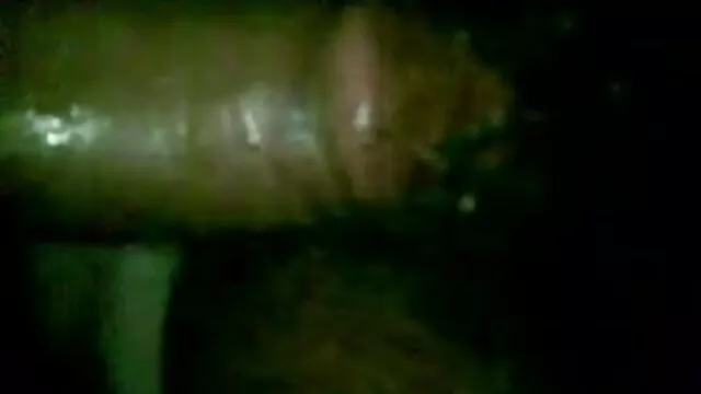 सीधे बिग बीएफ सेक्सी मूवी एचडी में डिक सैनिकों कंडोम यह