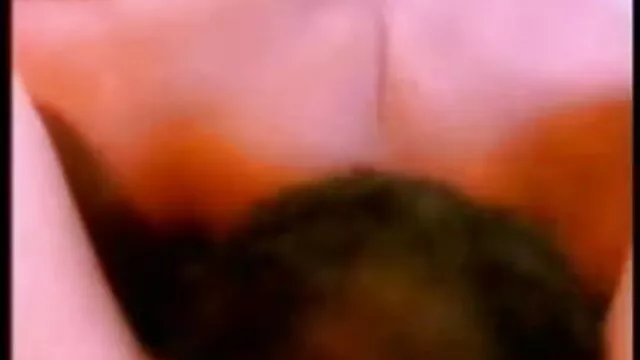 रोहिताश हिंदी सेक्सी फुल मूवी एचडी वीडियो त्रिवेदी