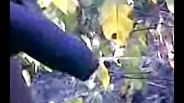 गर्म श्यामला शरारती सोलो शो सेक्सी वीडियो एचडी मूवी हिंदी में