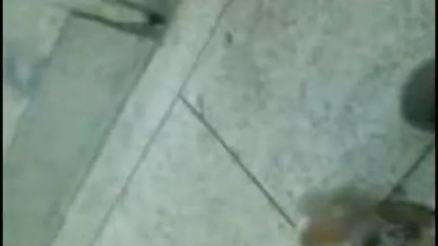 दो हिंदी फिल्म सेक्सी एचडी जंगली एशियाई लड़कियों नग्न चलने में