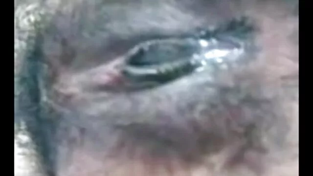 व्यापार बैठक के लिए बदल जाता है सेक्सी मूवी वीडियो फुल एचडी में कट्टर brazzers