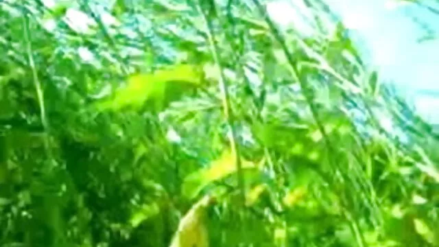 चेक ठाठ के साथ असली मंच के फुल एचडी सेक्सी फिल्म वीडियो में पीछे मज़ा