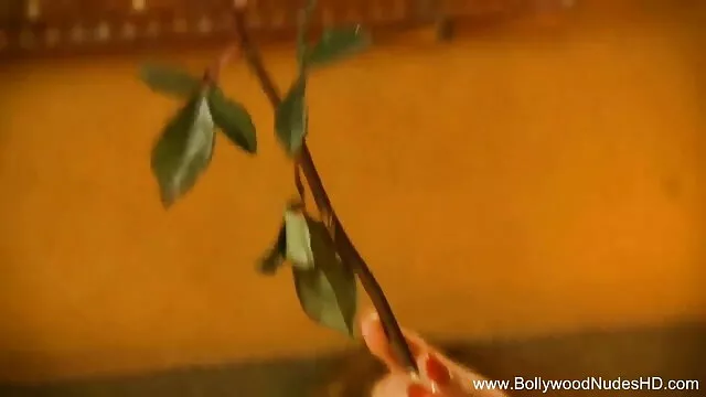 सेक्सी सेक्सी मूवी एचडी फिल्म एशियाई आकर्षक बाली
