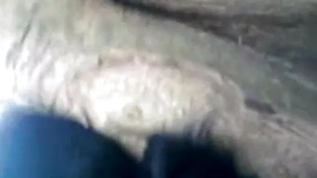संचिका सेक्सी मूवी एचडी अंग्रेजी एमआईएलए गड़बड़ मुश्किल बड़ा काला मुर्गा द्वारा